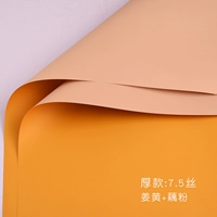 Lemon Ginger Plus Lotus Powder Models