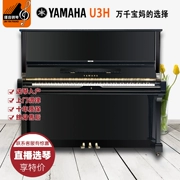 Nhật Bản nhập khẩu đàn piano Yamaha cũ Yamaha U3H lớp chấm điểm nhà người lớn mới bắt đầu lớn - dương cầm