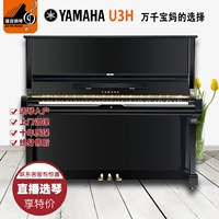Nhật Bản nhập khẩu đàn piano Yamaha cũ Yamaha U3H lớp chấm điểm nhà người lớn mới bắt đầu lớn - dương cầm grande piano