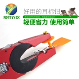 Выход Pliers к свинине, корову, овечьей наго камеры.