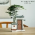 Sáng tạo đơn giản gốm Zen Trung Quốc hoa bình hoa hoa khô phòng khách tre cổ trang trí chậu - Vase / Bồn hoa & Kệ Vase / Bồn hoa & Kệ