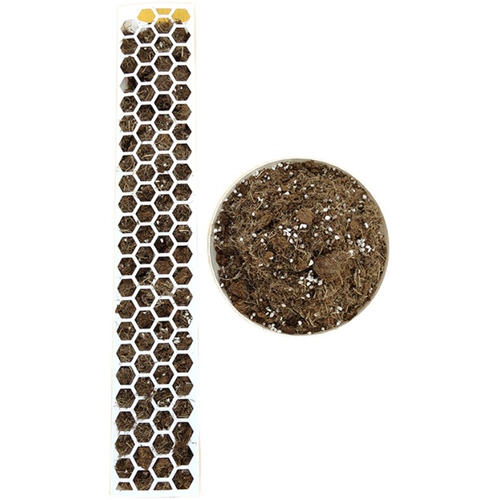 Столп водой мош окружает продукты для садоводства выделенная бинга с запутанной птицей, запутанная мембранные звень