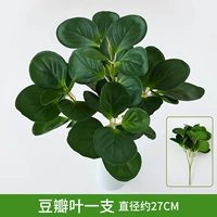 Темно -синий лист двойника