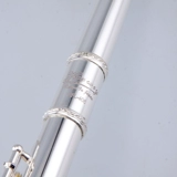 Инструмент флейты начал студент 17 -отверстие открывающими французские ключи, резные B -хвост -серебряные корректировки C