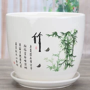 Nước xanh, cát tím, cây tiền, chậu hoa, chậu hoa, phòng khách, hoa thủy tiên, bình hoa, sân rộng - Vase / Bồn hoa & Kệ