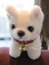Búp bê đồ chơi búp bê búp bê Teddy trắng mô phỏng chó Bo cô gái xinh đẹp dễ thương kèn búp bê chó - Đồ chơi mềm
