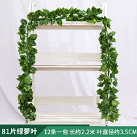 81 листья зеленых листьев разливов 1 упаковка [12 штук]