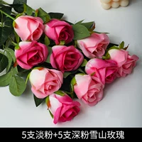 5 светло-розовых + 5 темно-розовых снежных горных роз