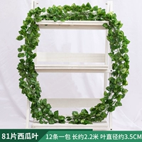 81 кусочки листовых листьев арбуза 1 упаковка [12 штук]