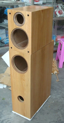 Профессиональный индивидуальный ruizhi audio sp9se disceer Профессиональный верхний и нижний кузов