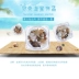 Nhật bản Nail Art Trang Sức New Starfish Shell Set Nail Sticker Hàn Quốc Gió Đại Dương Abalone Seashell Công Cụ Làm Móng Tay