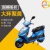 Dahuan Juying Shell Xiaoxun Eagle Xe máy hoàn chỉnh Bộ nhựa Các bộ phận và phụ kiện gốc. - Phụ kiện bố thắng xe đạp điện Phụ kiện