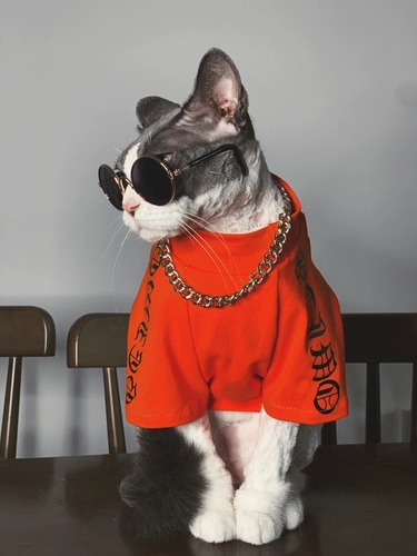 Шнурок-держатель, летний тонкий жилет, дышащая хлопковая футболка