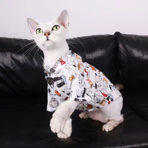 Кошачья одежда летняя для волос с домашней одеждой собака маленькая собака тонкая одежда