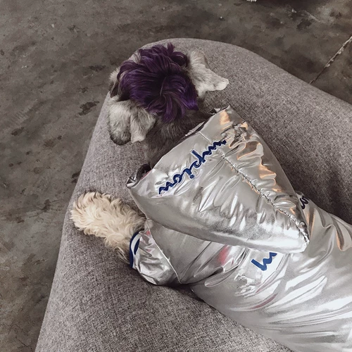 Кошачья одежда осень и зимняя одежда для кошки теплую собаку