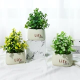 Моделирование цветов фальшивые цветы Человек Tianxing Bonsai Home Coremer