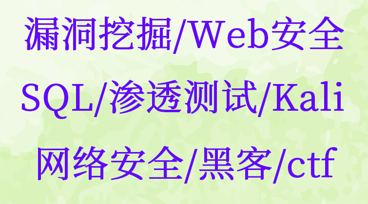 漏洞挖掘/Web安全/SQL/渗透测试/Kali/网络安全/黑客/零基础/ctf