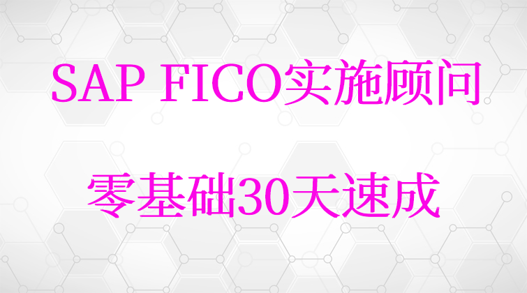 haima malala aotuo towin fuer aoer Account Group SAP FICO视频课程