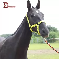 Cưỡi ngựa thể thao ngựa dây cương dệt dây ngựa dẫn huỳnh quang màu xanh lá cây ngựa được trang bị với tám chân rồng ngựa mũ cưỡi ngựa