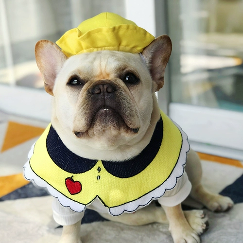 Собака с питомцами маленькая желтая шляпа милая японская детская школа школьная шапка борьба Шиба Ину Сурунорбаги Тедди