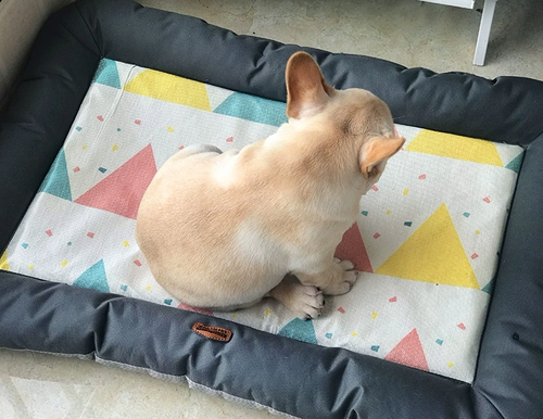 Подушка для любимой собаки долговечный укус четыре сезона для домашних животных спальная подушка плюшевая собака гнездо для собак кровать среднего размера подушки для собак