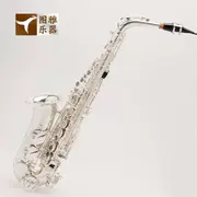 Nhạc cụ phương Tây Vatican FLOFAIR saxophone gió E-giai điệu alto đồng thau bạc khắc người lớn chơi người mới bắt đầu