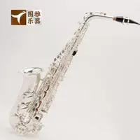 Nhạc cụ phương Tây Vatican FLOFAIR saxophone gió E-giai điệu alto đồng thau bạc khắc người lớn chơi người mới bắt đầu đàn morris