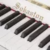 Sokarston, Vương quốc Anh SOKASTON "SP-T3K" Piano chuyên nghiệp Piano - dương cầm