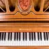 Sokarston, Vương quốc Anh SOKASTON "SP-T8" Royal Princess Piano Professional Piano - dương cầm đàn piano rẻ dương cầm