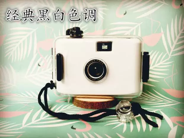 Toy, retro camera, diving, Birthday gift