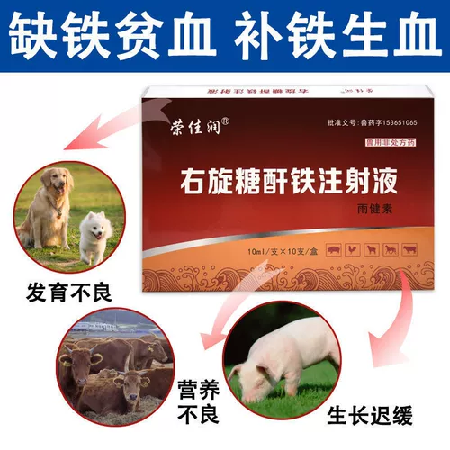 Ветеристы и правый форрафиггидрин ангидрид -инъекции зверей с свиньями с биохими