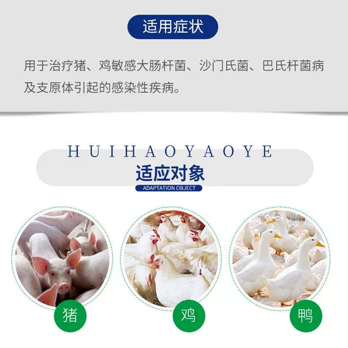 Цыпленок из курицы туркомицин порошок курица использует зверь из ортогоники с ортогоником тонкой порошковой курицы и ути