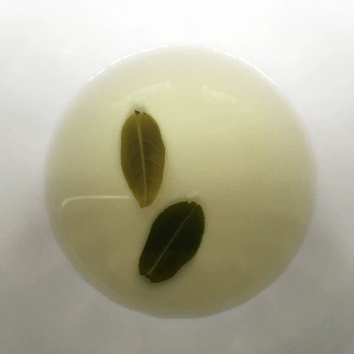 Чай Люань гуапянь, зеленый чай, весенний чай, коллекция 2022