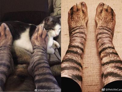 taobao agent Cat claw socks adult cat foot socks 3D printed animal Japanese cat jio socks couples simulation cheetah