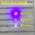 Đèn LED phát hiện tiền giấy bằng tia cực tím Đèn LED hạt 0805 ánh sáng tím 365/395nm khử trùng, bẫy côn trùng, diệt muỗi, chữa bệnh nhận dạng huỳnh quang 