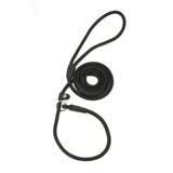 Dog P Цепная gunding ock dog cheange galing dog small medium -sized inu di jin mao p line pet Pavense