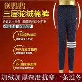 Бархатные демисезонные удерживающие тепло штаны для матери, для среднего возраста, увеличенная толщина, большой размер, высокая талия