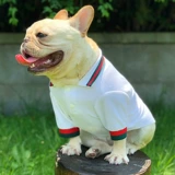 Тонкая летняя одежда, футболка polo, бюстгальтер-топ