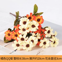 Оранжевый QQ Chrysanthemum (1)