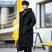 Mùa thu đông mới Quần áo cotton Hàn Quốc áo khoác nam học sinh thả lỏng vest vest xuống bông pad bông ấm áp bên ngoài