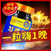 Hàu đích thực Cordyceps sinensis hàu viên hàu viên hàu cỏ viên hàu tinh chất bổ sung sức khỏe - Thực phẩm dinh dưỡng trong nước viên uống vitamin c