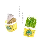 Meowcard Мгновенная лапша кошка и трава ленивая одна чашка семян, чтобы использовать волос, чтобы плюнуть порно -шарики новые продукты закуски