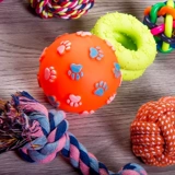 Игрушка для собак, кусая плюшевые, плюшевые золотые волосы по размеру собак