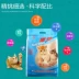 Mèo xả hoa nhài nhang bentonite mèo 10 kg mèo cung cấp mèo cát khử mùi mèo 20 kg - Cat / Dog Beauty & Cleaning Supplies