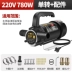 Dầu và nước điện đôi bơm dầu 12V220V24V DC máy bơm nước áp lực cao máy bơm diesel bơm dầu rong roc Dụng cụ thủy lực / nâng