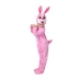 Trang phục biểu diễn động vật thỏ nhỏ dành cho trẻ em trang phục khiêu vũ thỏ con cho trẻ em