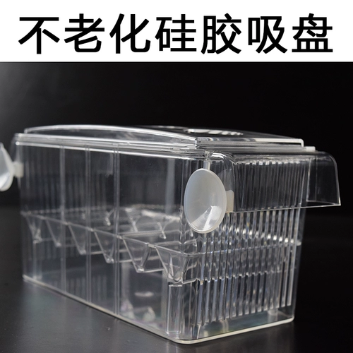 Zhenlin Aquarius, Peacock Fishfeng Tail Mary Moon Loon Light Starrow Box Incubation Box, маленькая ящик для изоляции рыбы