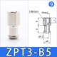 ZPT3-B5