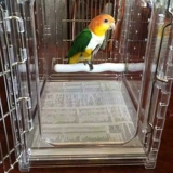 Американская клетка American Caitec Parrot Bird Cage выгуливая птица из переносительной клетки, сильная, прозрачная и эстетически