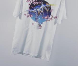 Whiteoriginal dinosaur dinosaur203050176 （  ）